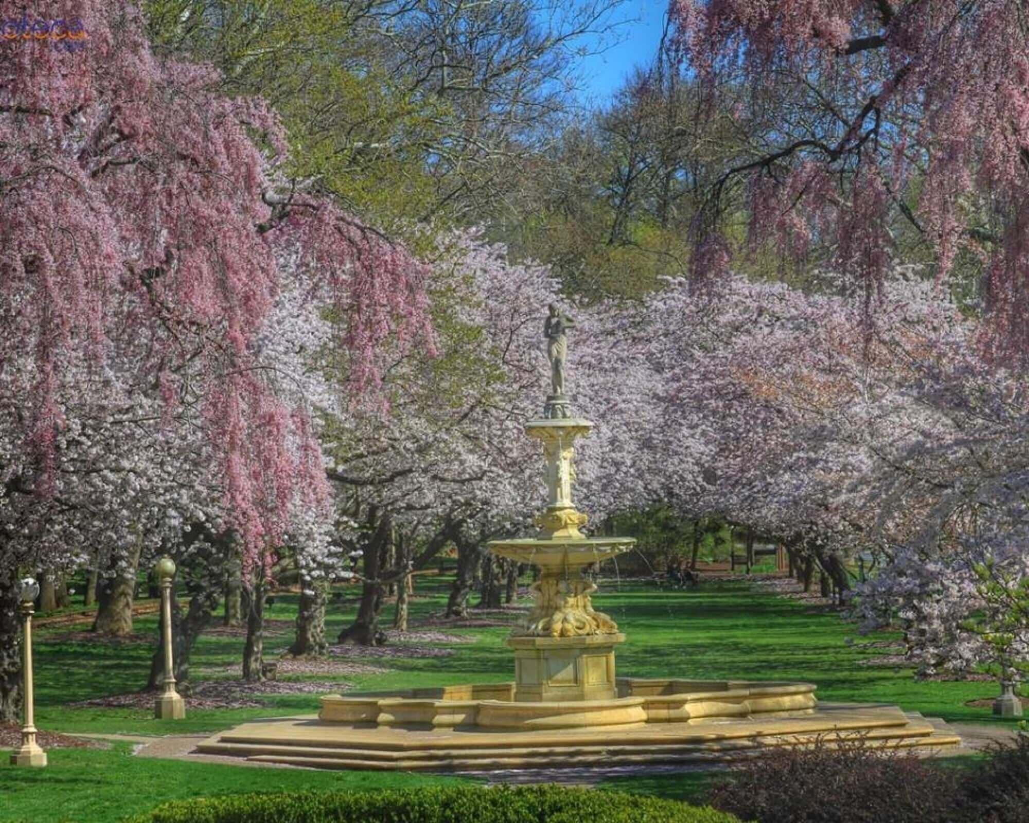 brandywine_park