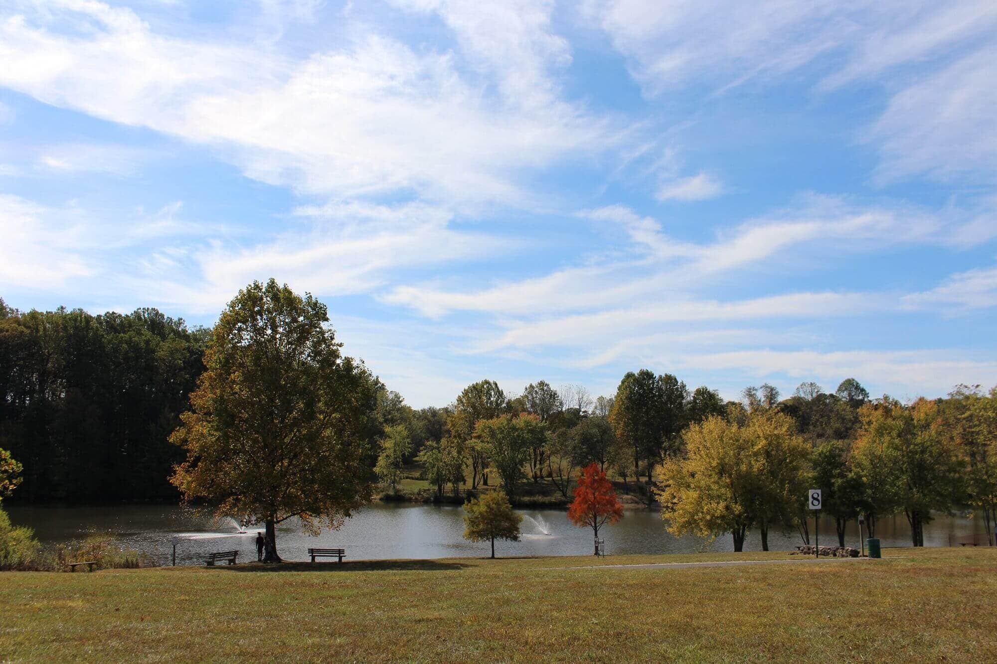Best Neighborhoods in Wilmington DE for Young Professionals | Cheap Movers Philadelphia